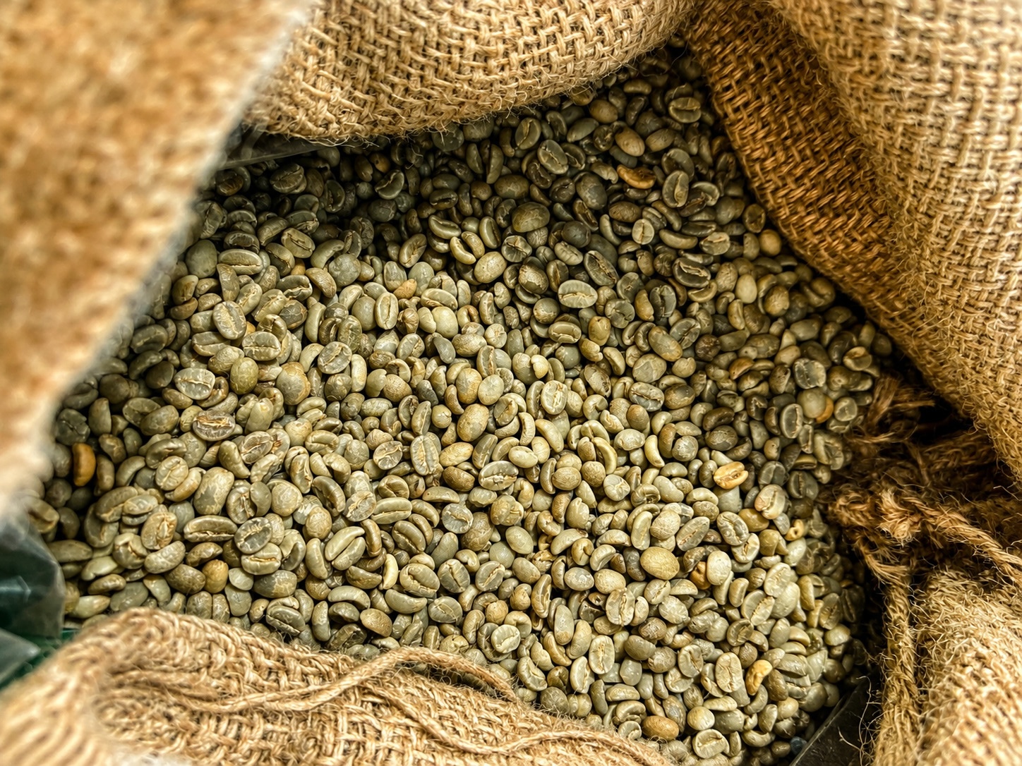 grains-cafe-vert-cafe-specialite